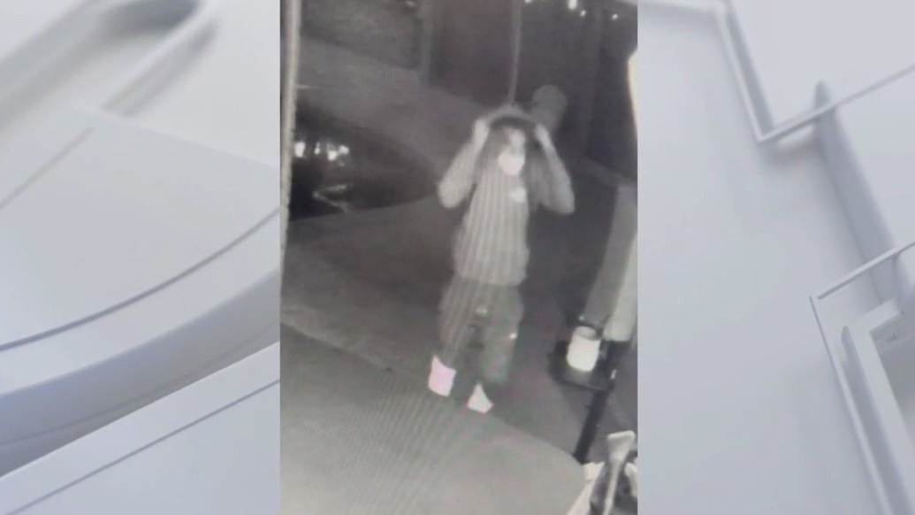 Intruder spotted walking through Lakewood home